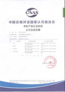 资质证书2